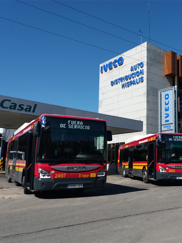 autobuses lineas regulares